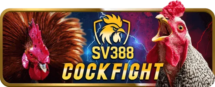 Bước 3: Xác nhận và hoàn tất đăng ký GOD55